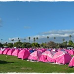 how much for the pink tents?