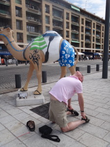 camel pose?